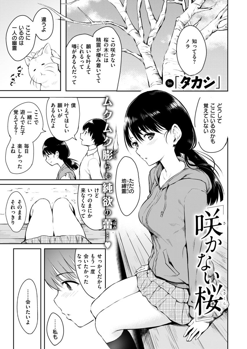 自分が何者なのかわからないまま生身の身体を手に入れる幽霊少女...ずっと眺めていただけだった少年に忘れないでいて欲しくて大人の遊びに誘い一日中いちゃラブ中出しセックス【「タカシ」:咲かない桜】